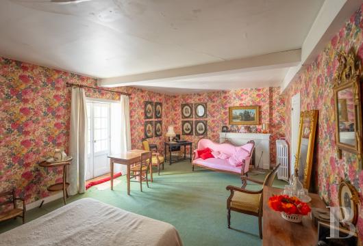 chateaux for sale France poitou charentes   - 12